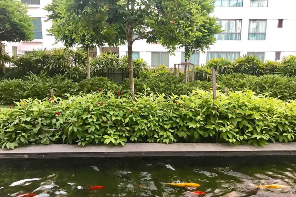 Condo in IMAGO MALL 亚庇最大商场IMago楼里公寓 코타키나발루에서가장큰쇼핑센터아파트 外观 照片